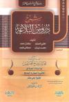 شرح دروس البلاغة