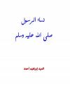 نساء الرسول صلى الله عليه وسلم
